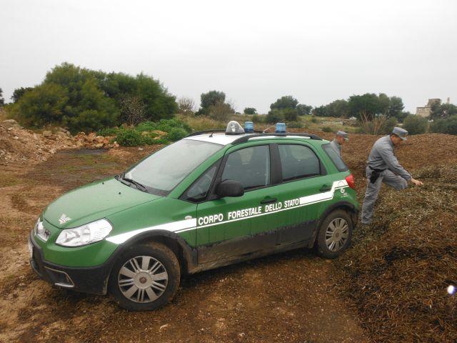 Forestale-Monopoli