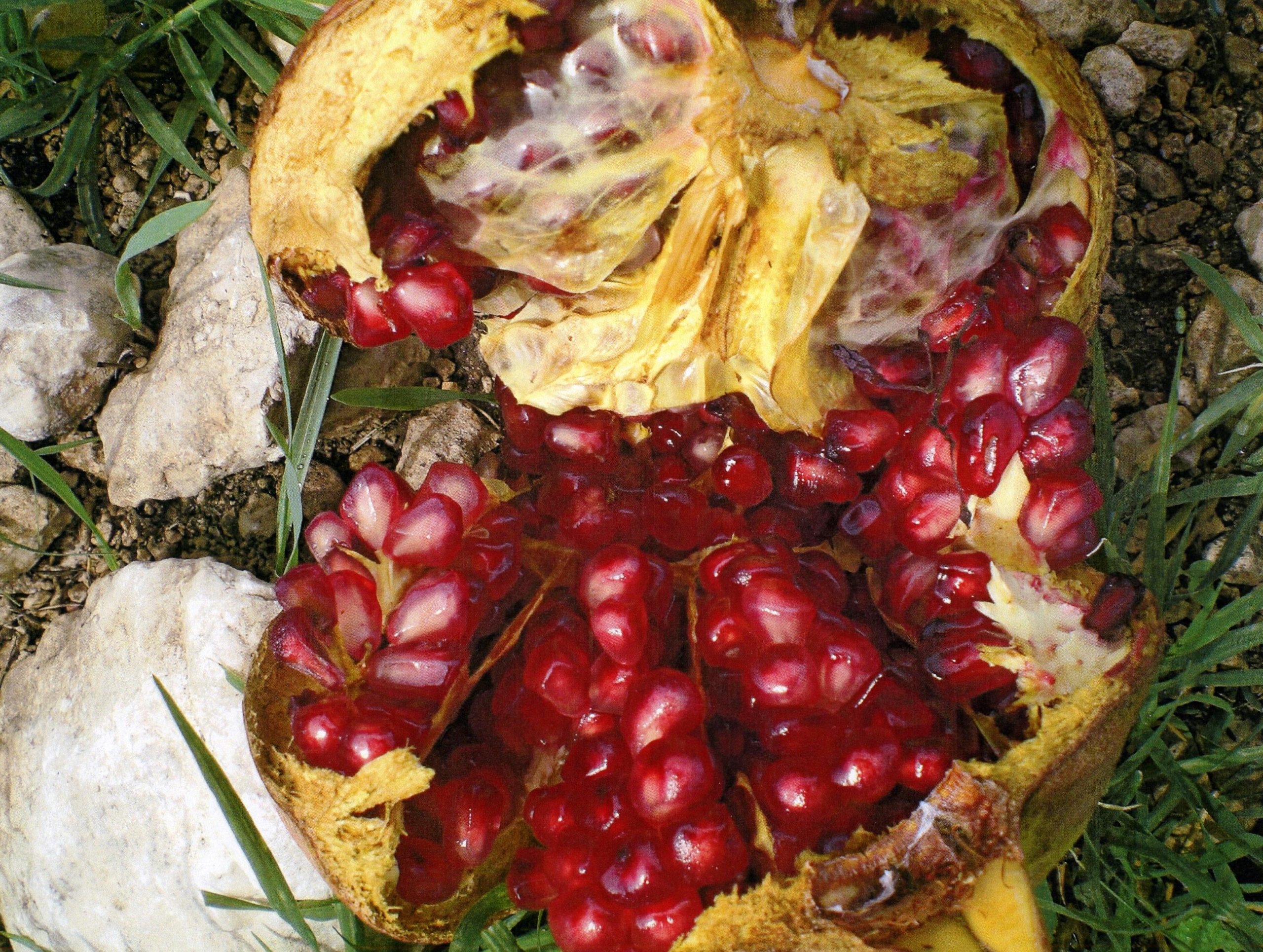 La tradizione del “culto dei morti”