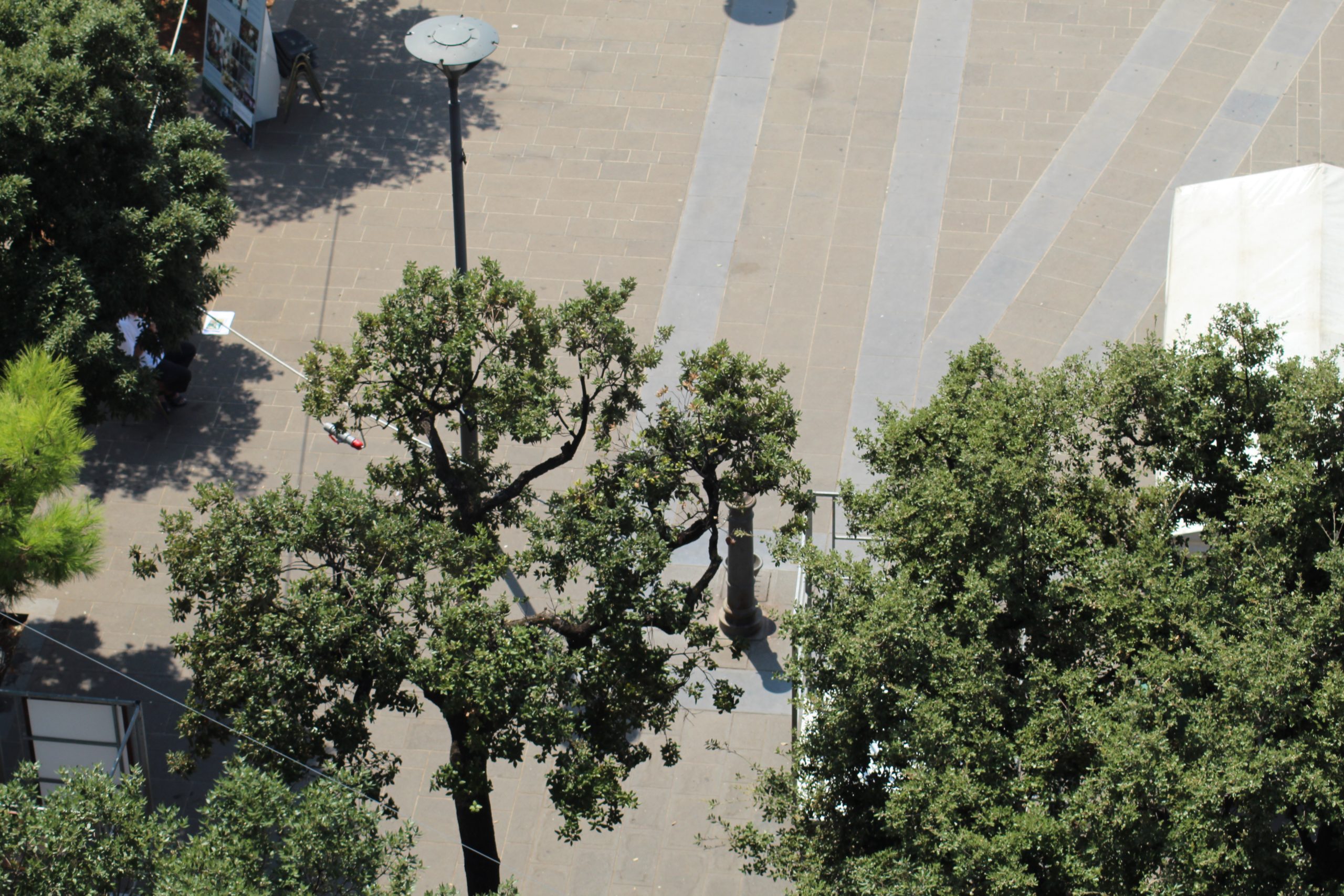 Monopoli: sarà presto riparata la fontana che eroga “acqua rovente”