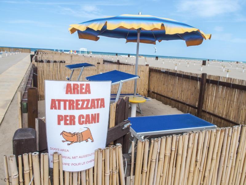 STABILIMENTI BALNEARI La Regione Puglia approva la legge per l’accesso degli animali sulle spiagge