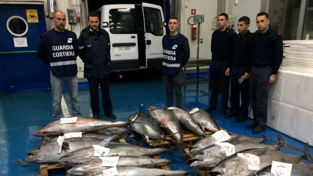 Guardia Costiera sequestri