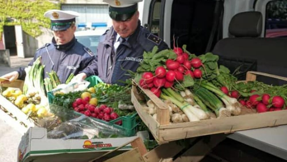 frutta verdura sequestro polizia locale