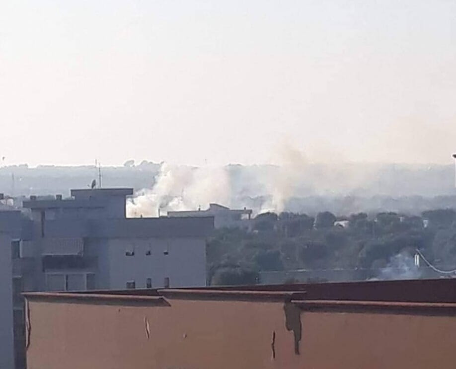 inquinamento Zazzera