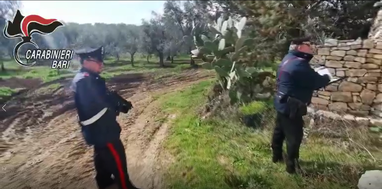 Fermati nelle campagne di Quasano a bordo di un auto con targa straniera. Un arresto.