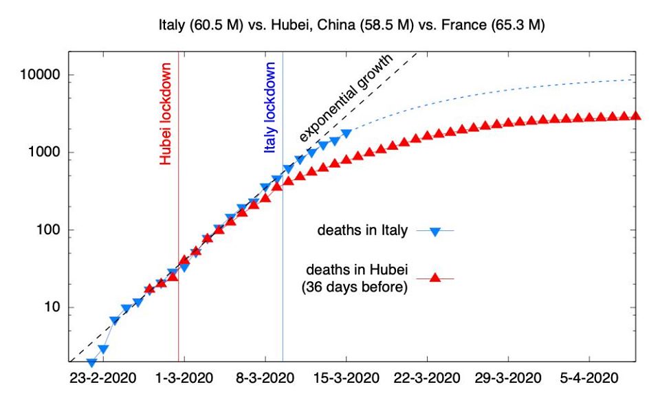 Coronavirus, a lezione di Grafici IV di Sandra Lucente