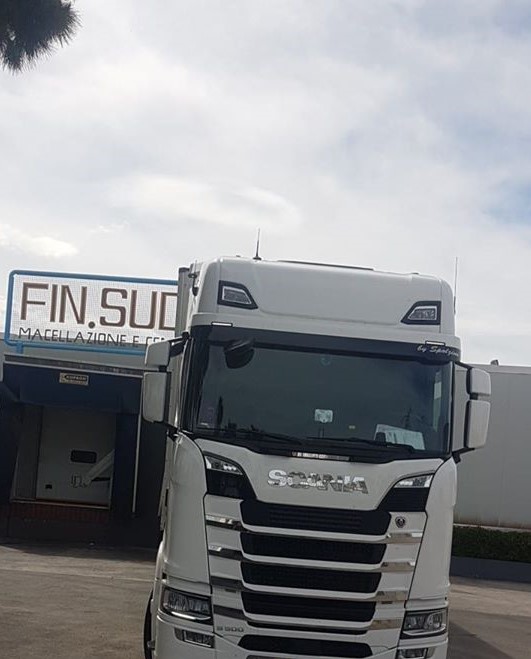 59628018_2372836659665630_8183873196831801344_o