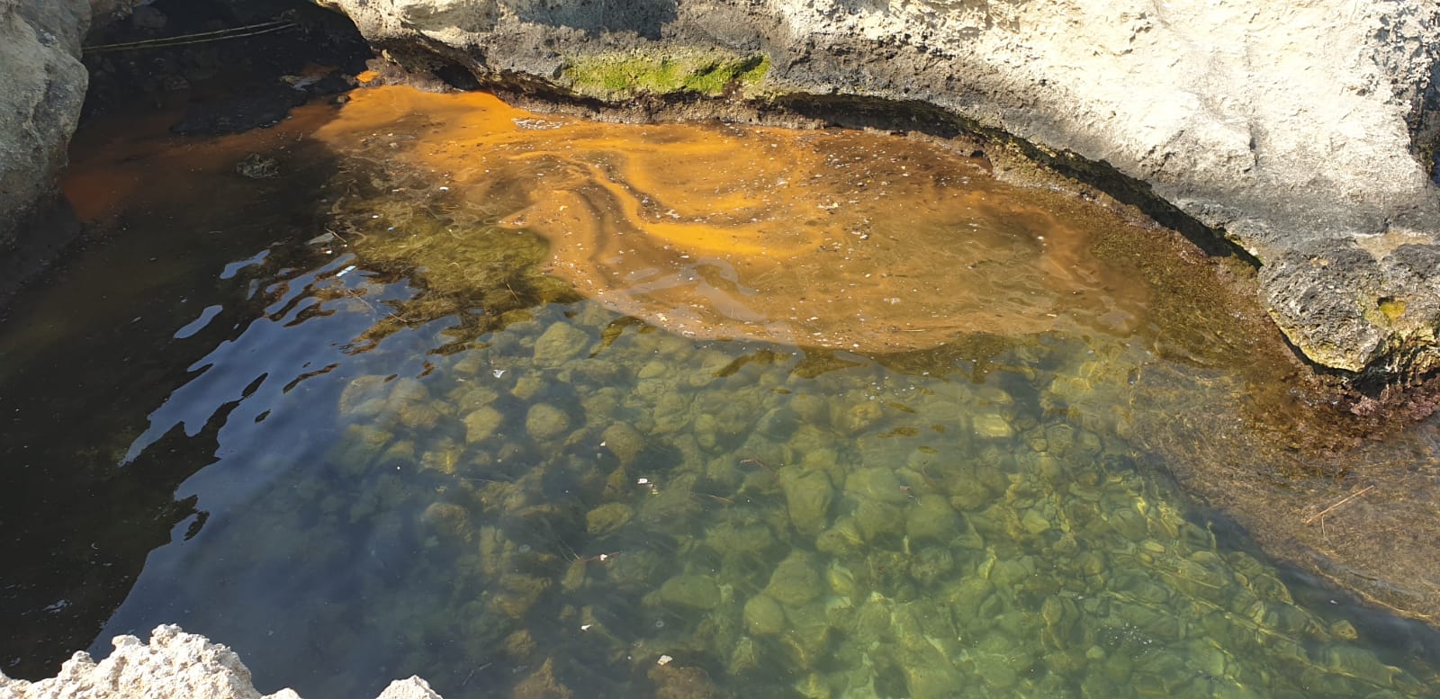 Alga rossa, la spiegazione di Puglia Trek&Food