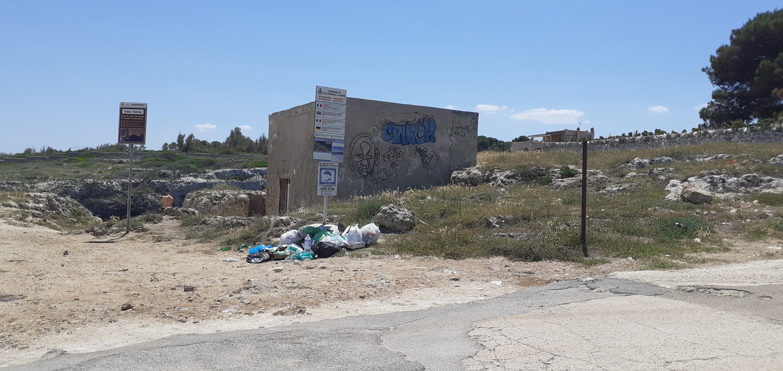 101055129_1118817958484016_6517882531201679360_n