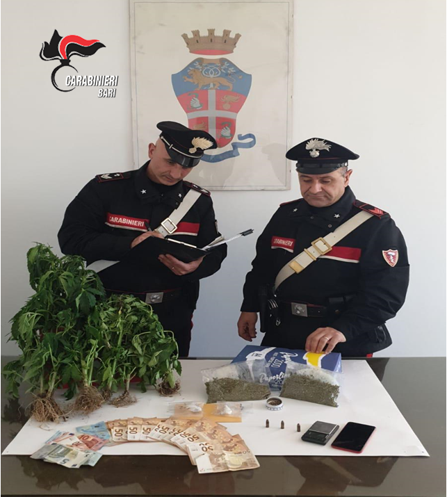 Altamura - arresto droga