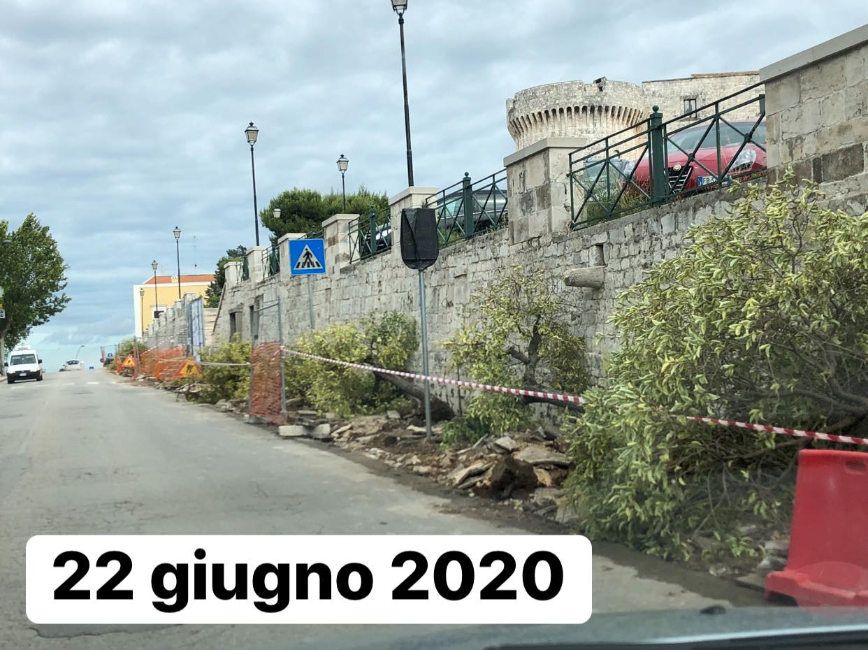 104981582_3615525758474479_2290724330231366209_o