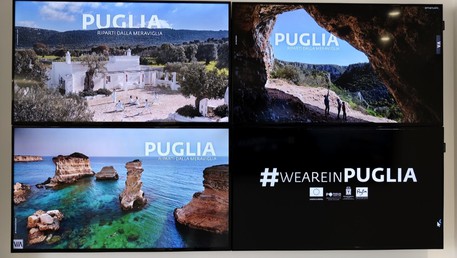 227139b78c4a3c9b85a383e04ae189c8