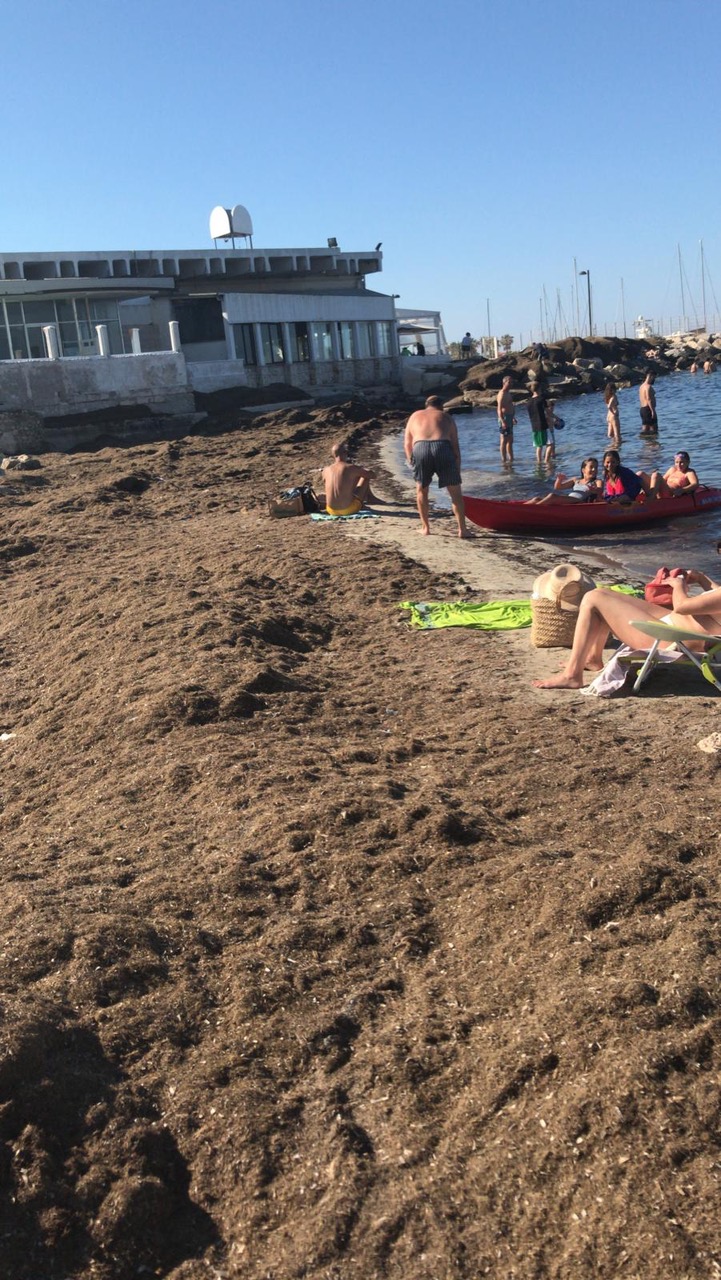 SPIAGGIA COZZE NERE_A FARLA DA PADRONE È SEMPRE LA POSIDONIA2