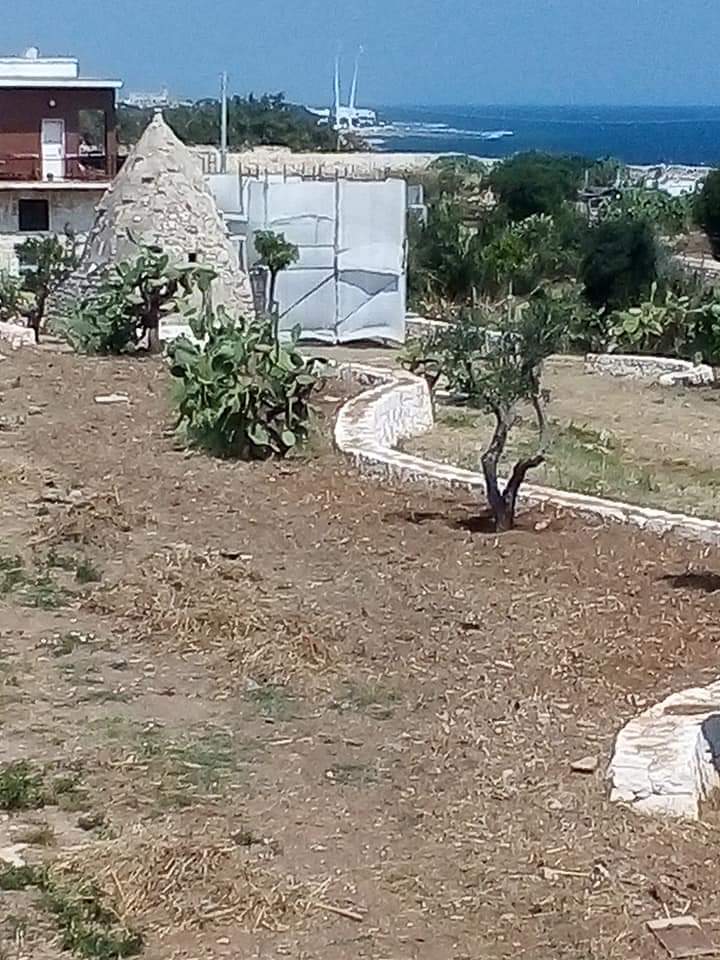 WhatsApp Image 2020-07-07 at 20.44.28 (1)