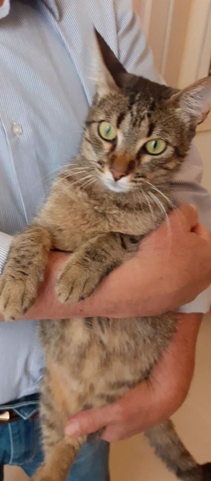 Monopoli, “Quinta” cerca casa, il Comune non la vuole