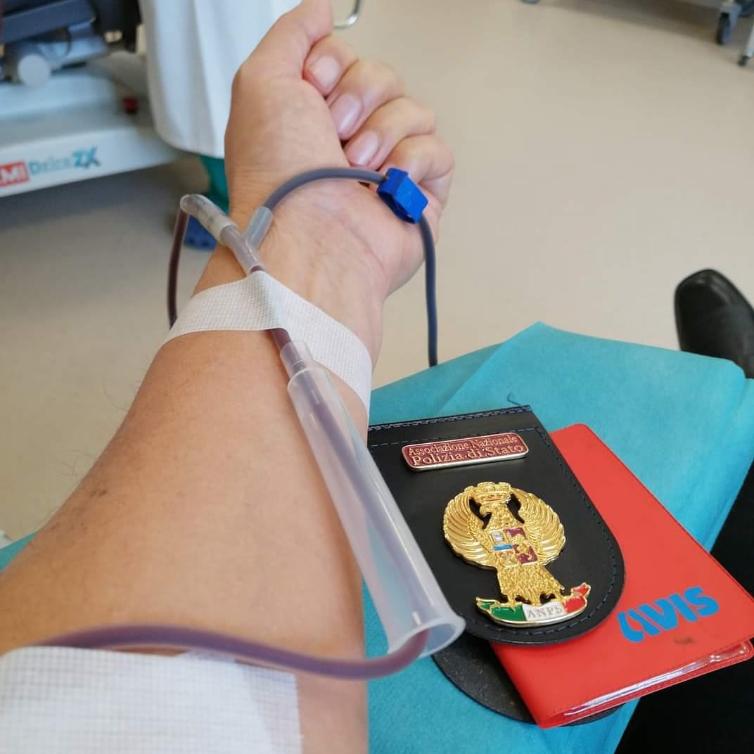 117263481_1243391242691420_558024331595680453_n