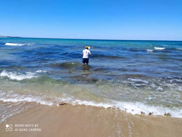 F7BED88E-1F90-4A92-AF43-67C87C6B3F2A