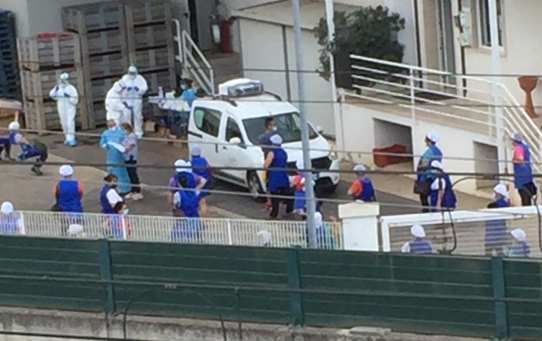 WhatsApp Image 2020-09-07 at 19.47.08