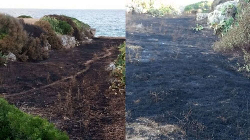 incendio costa ripagnola parco-2