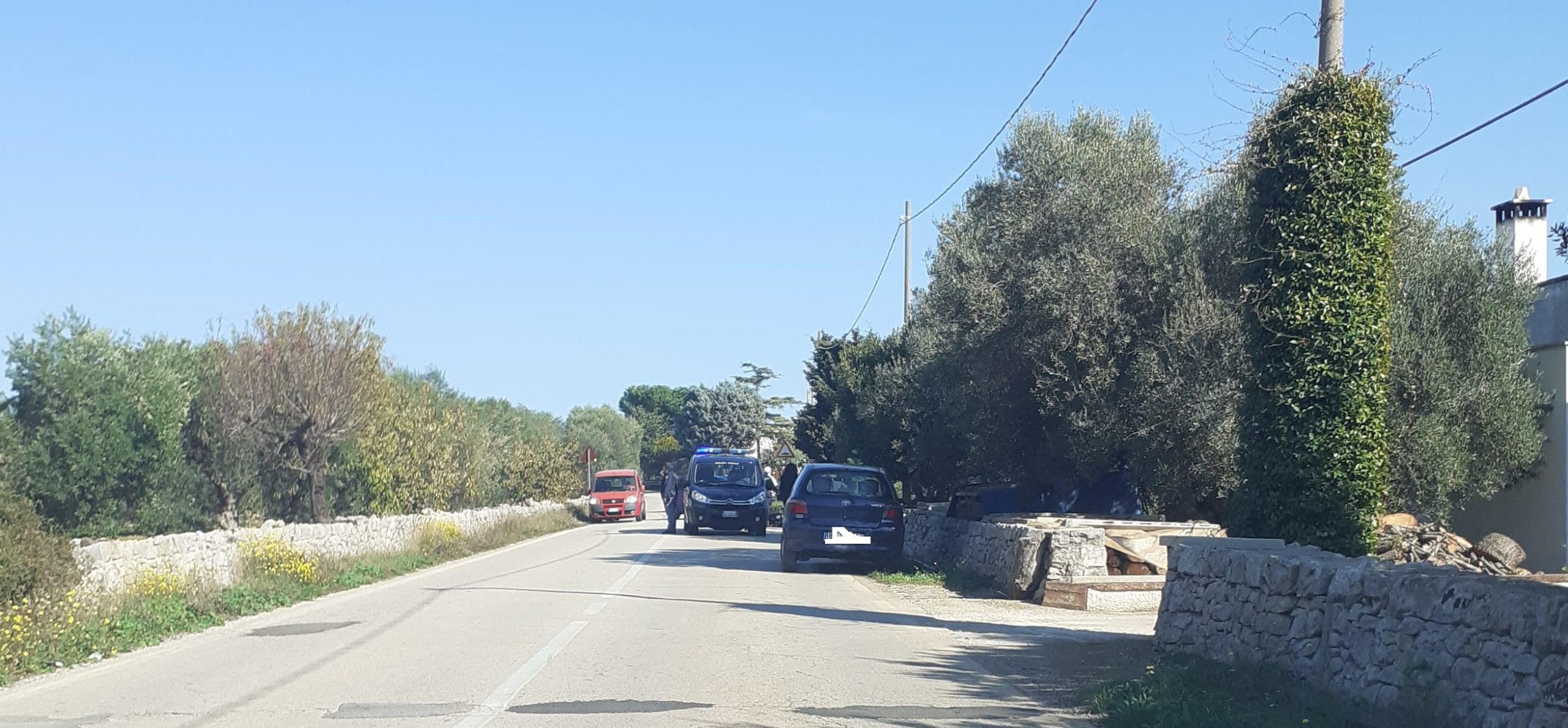 122521404_406567580502943_6477672559654592398_n