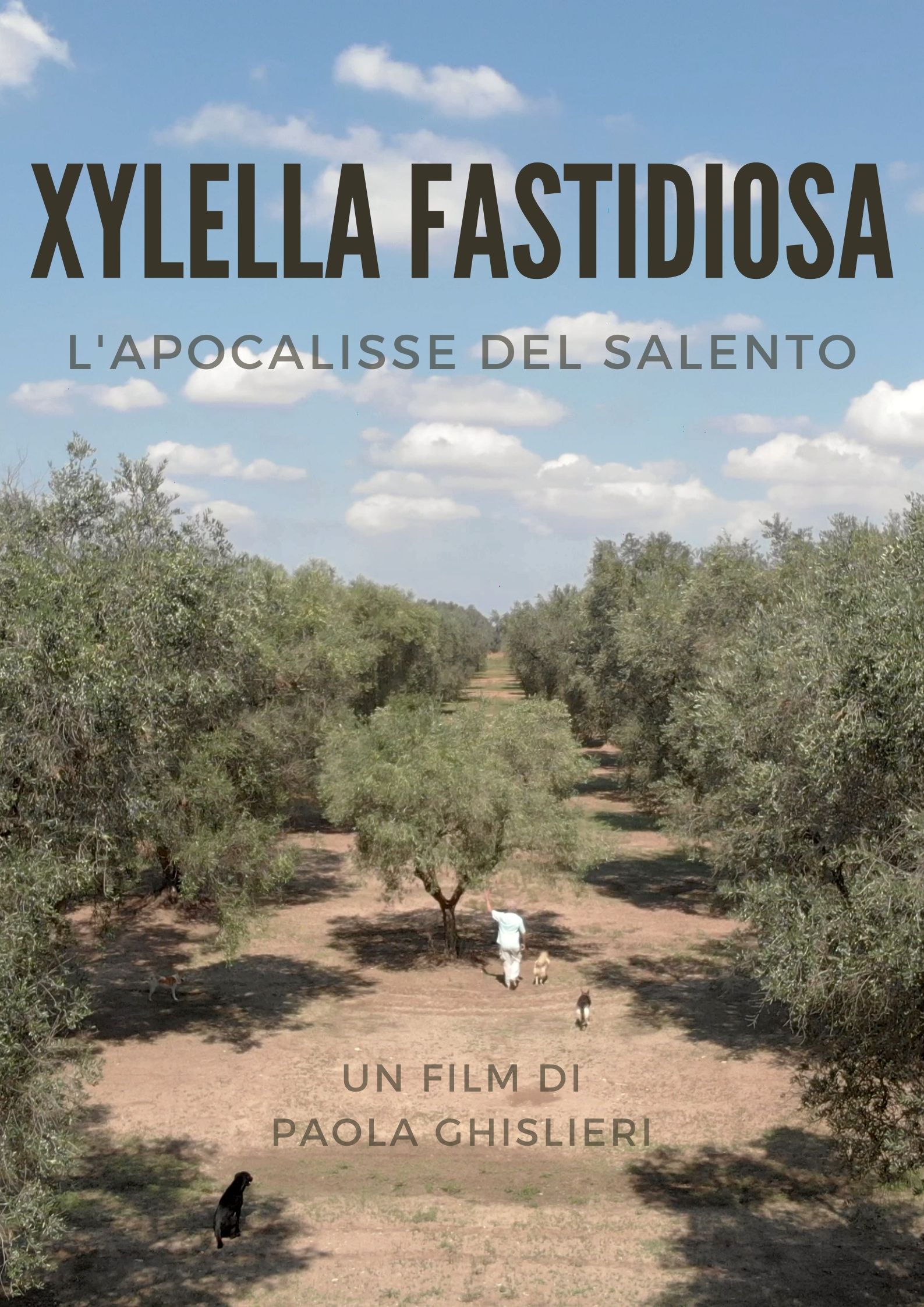Xylella Poster Italiano