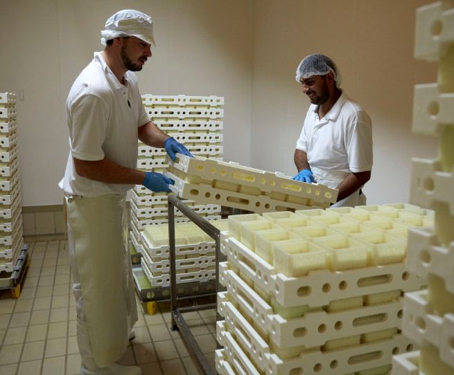 Aiuti ai caseifici, da oggi attivo il bando