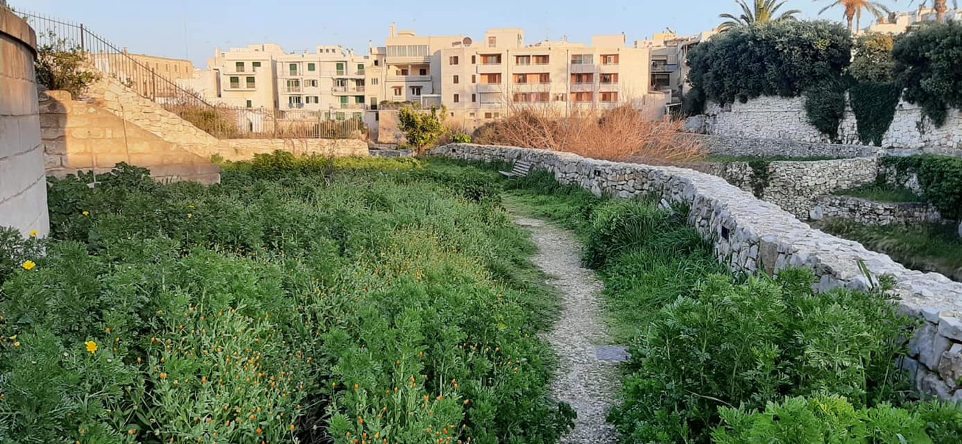 Polignano Lama Sant'Oronzo