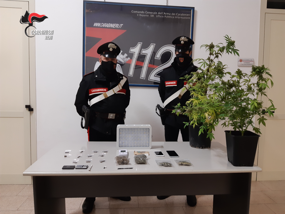 Bari. Arrestate tre persone per detenzione di sostanze stupefacenti