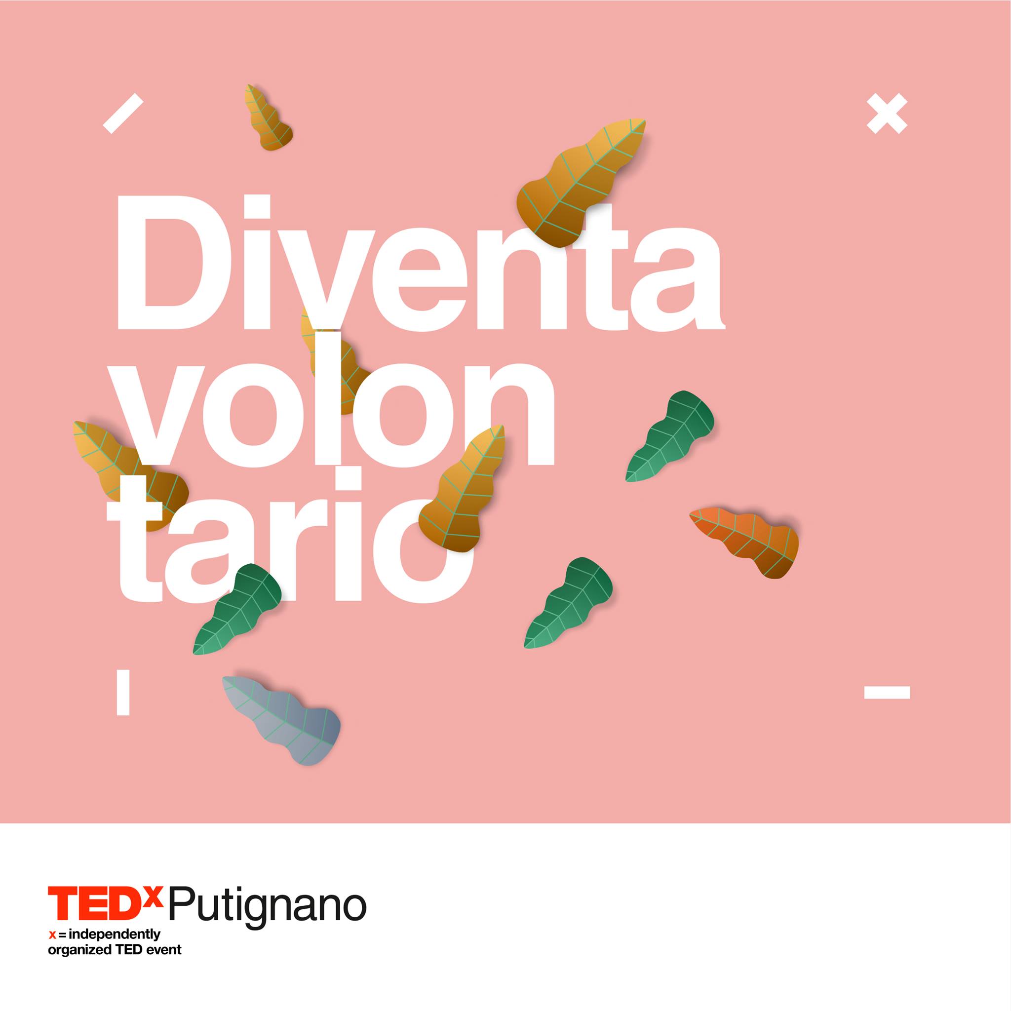 TEDxPutignano_Call Volontari