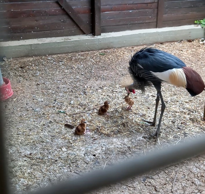 WhatsApp Image 2021-06-25 at 18.03.16