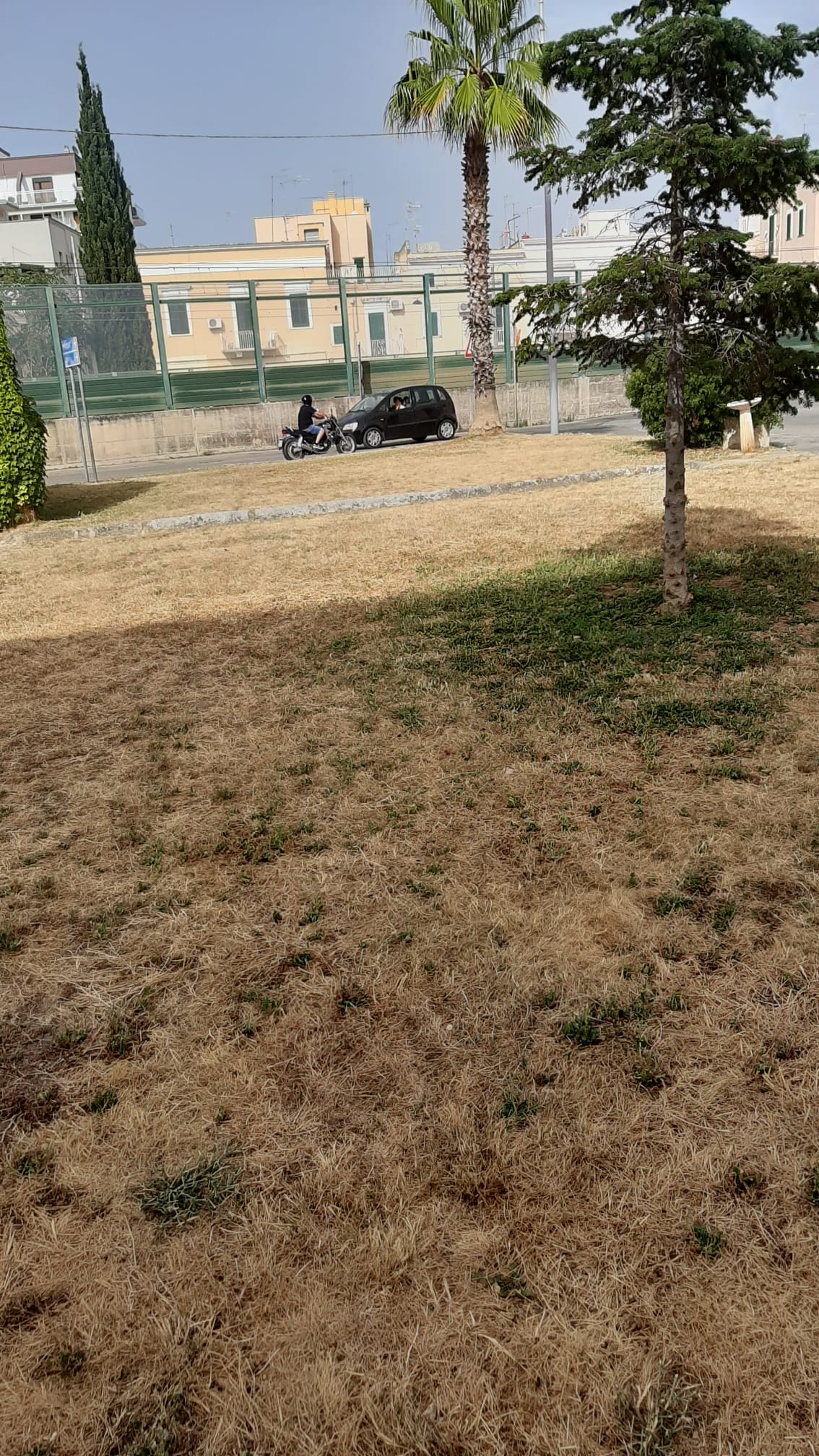 WhatsApp Image 2021-06-21 at 16.58.01