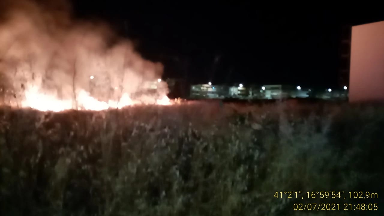 Noicattaro, la Polizia locale salva cane da un incendio