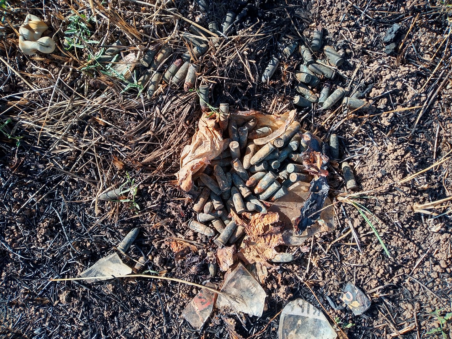 Conversano, trovati 120 proiettili inesplosi a lago Petrullo