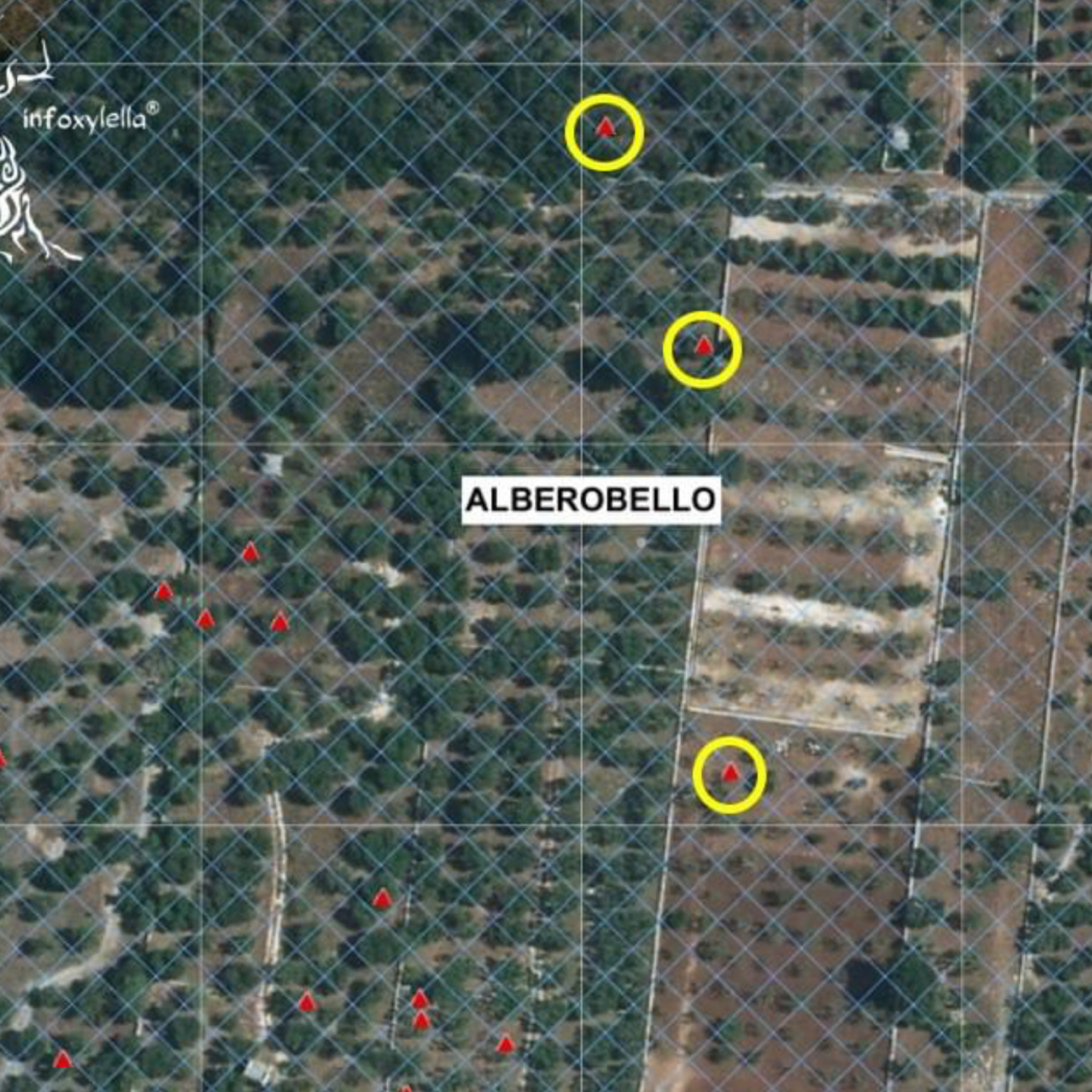 3CC74E65-B530-4FDB-8188-C7884F075EB8