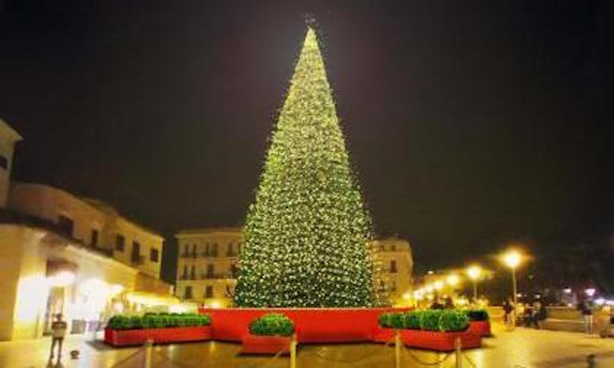 Bari, oggi l’accensione dell’albero di Natale in piazza del Ferrarese