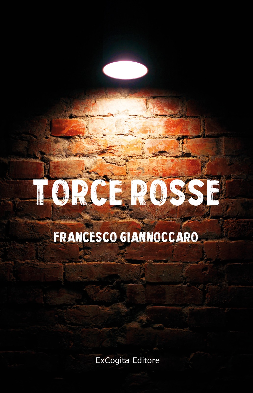 “Torce rosse”, un romanzo del monopolitano Francesco Giannoccaro
