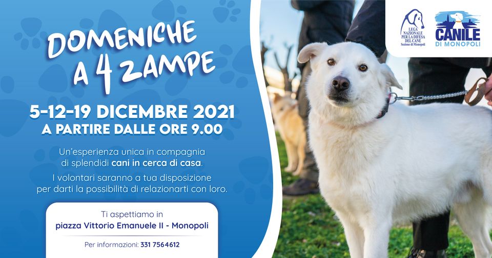 domenica a 4 zampe
