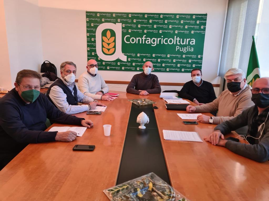 Confagricoltura Puglia, trattative per rinnovo contratto impiegati e quadri agricoli