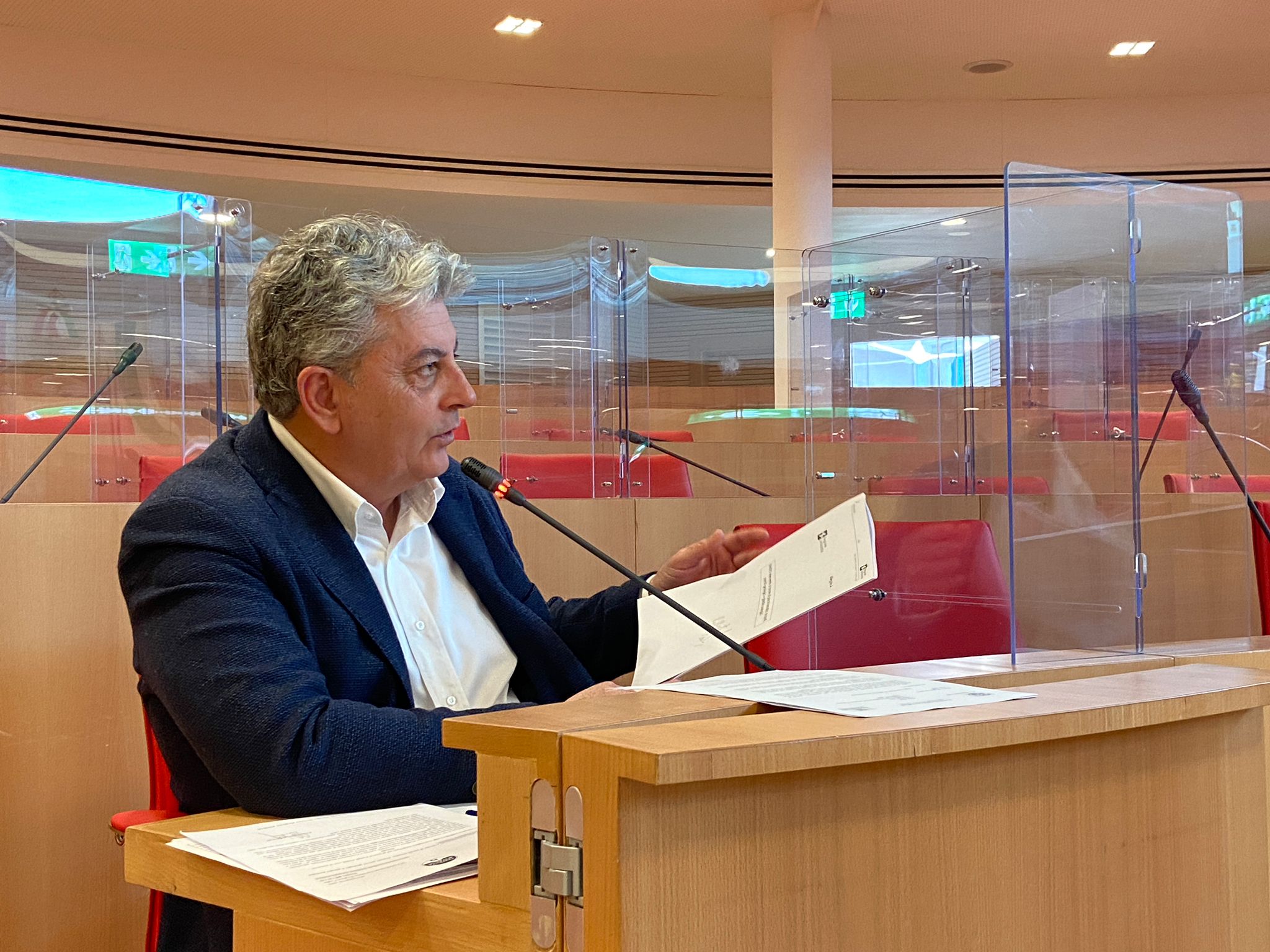 Luigi Caroli, sesta Commissione