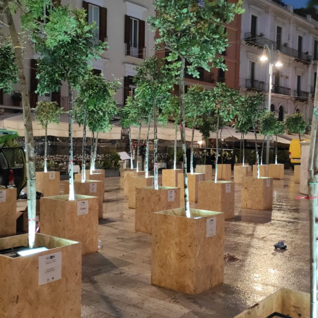 Festival della Sostenibilità Bari, saranno piantumati 50 alberi