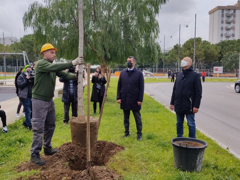 Bari, piantumato il primo albero del bosco urbano intitolato alle vittime Covid
