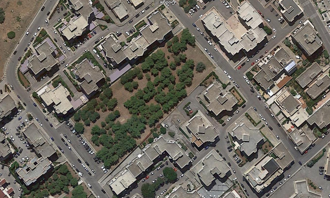 PINETA VIA ARIOSTO-GRANDI