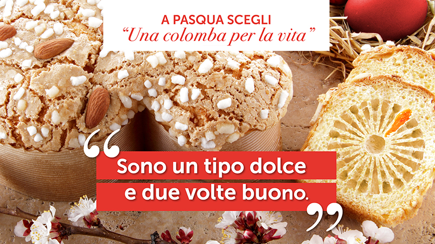Admo Puglia, nel weekend parte l’iniziativa “Una colomba per la vita”