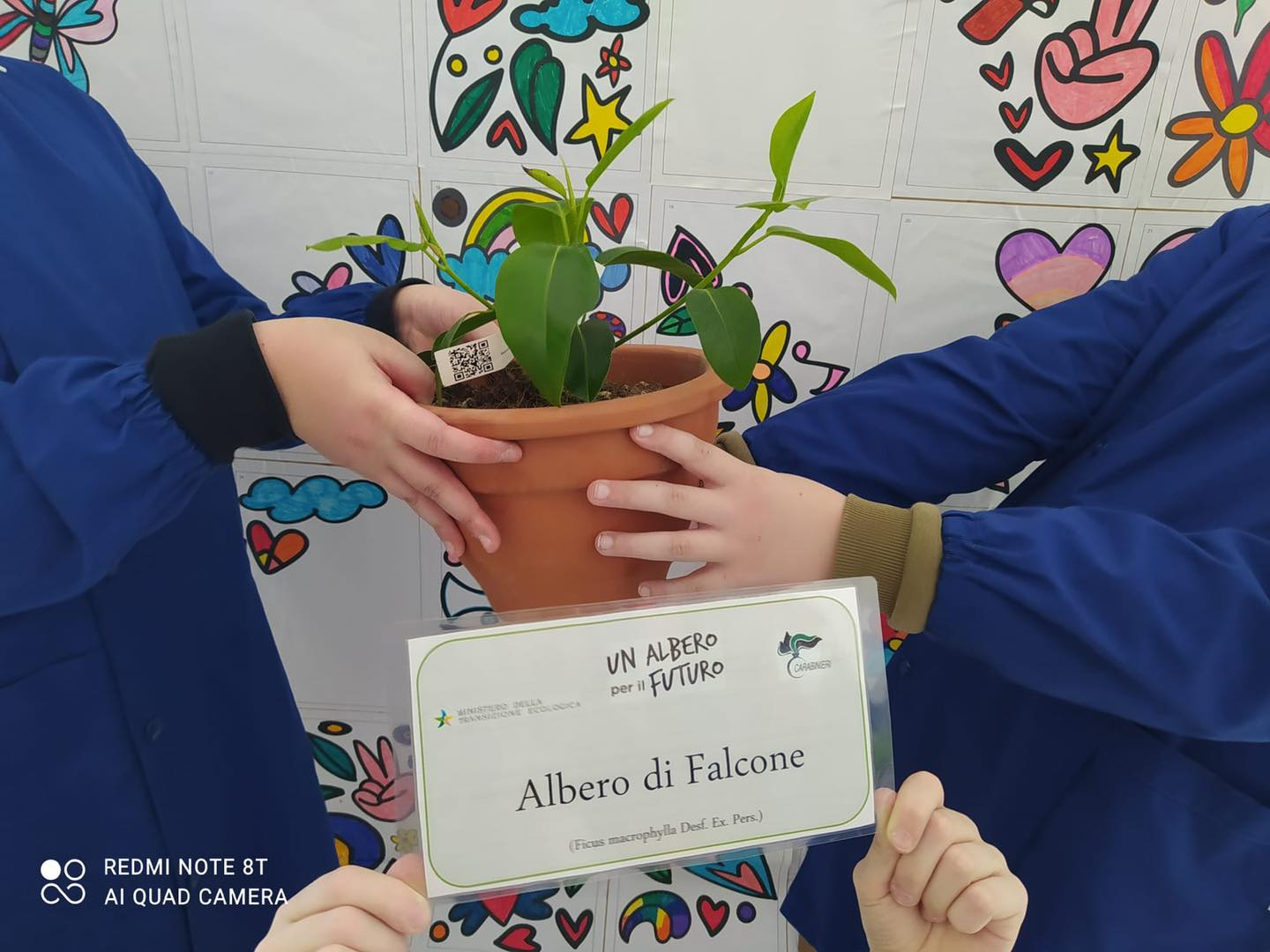 un albero per il futuro
