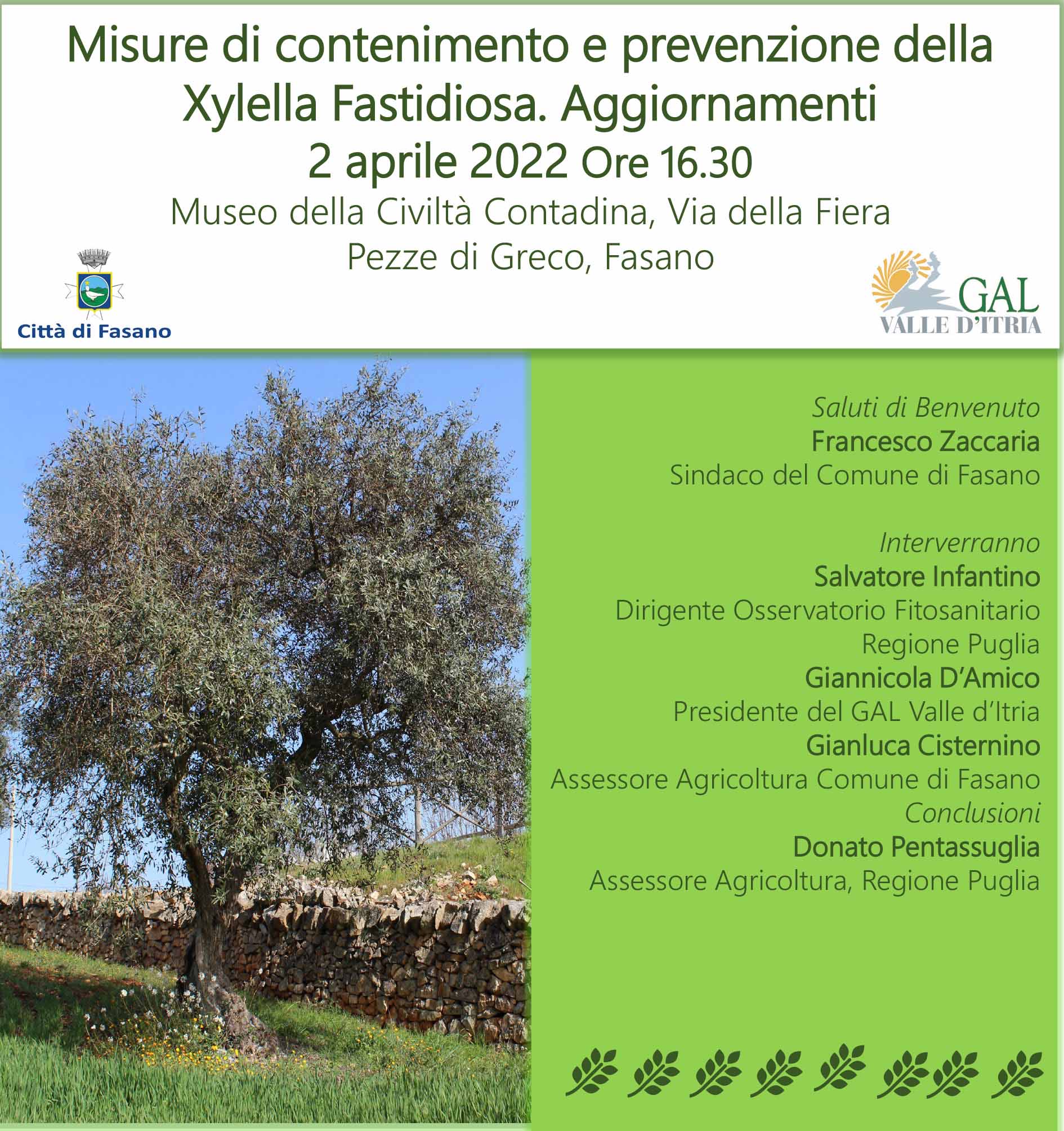 Fasano, Xylella Fastidiosa, Comune e Gal insieme per fare il punto della situazione