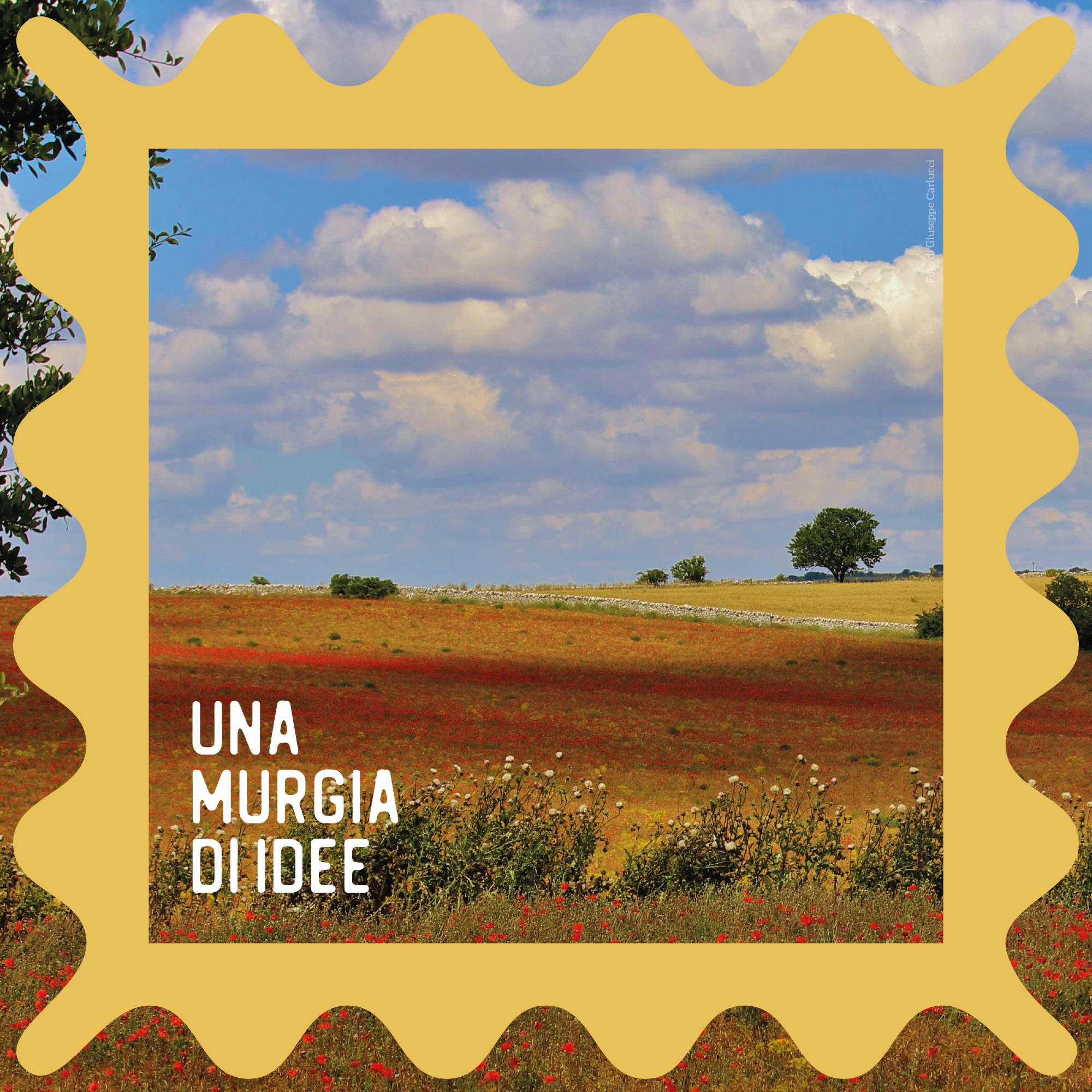Una Murgia di Idee_
