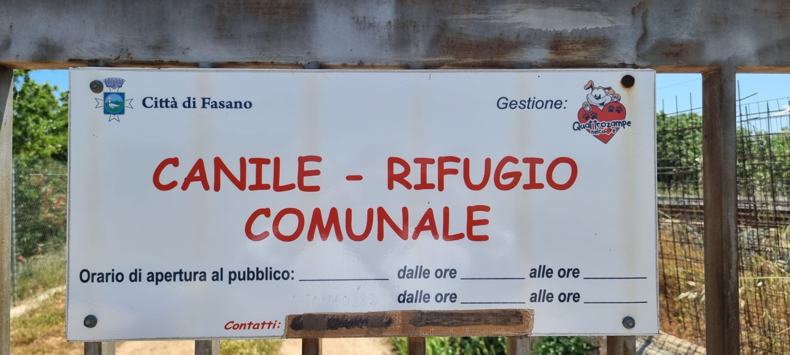 Canile comunale di Fasano, affidamento temporaneo a 4 Zampe nel Cuore