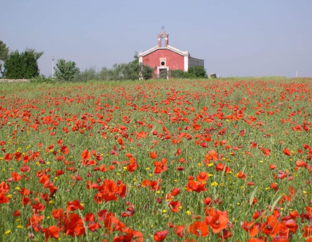 Gioia, la chiesetta della Madonna della Croce nei “Luoghi del cuore FAI”