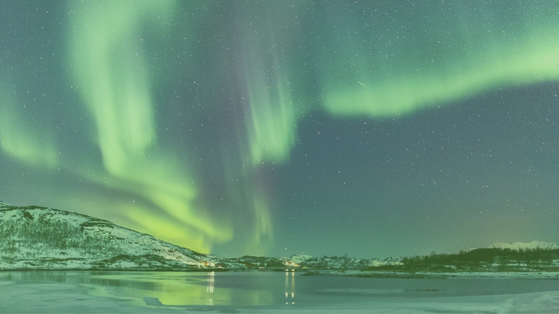 Bari, all’esordio la neonata formazione corale, Poliba Chorus