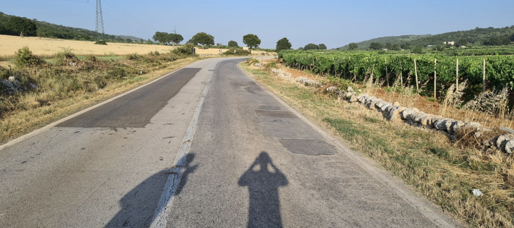 MONOPOLI: la Procura dispone una perizia cinematica sull’incidente costato la vita a Luigi Ricco