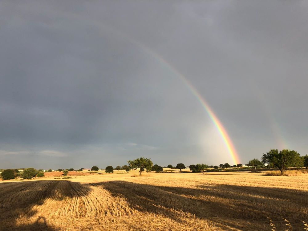 Gioia, 4 donne ucraine accolte dall’associazione Melina Procino